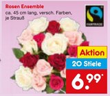 Rosen Ensemble im aktuellen Netto Marken-Discount Prospekt für 6,99 €