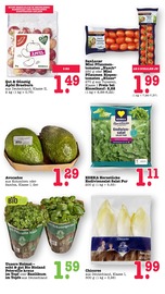 Ähnliche Weihnachtsstern Angebote im Prospekt "Aktuelle Angebote" von E center in Heidelberg Ähnliche Angebote wie Weihnachtsstern im Prospekt "Aktuelle Angebote" auf Seite 22 von E center in Heidelberg