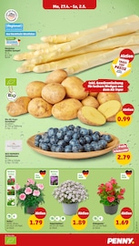 Aktueller Penny Prospekt mit Spargel, "Wer günstig will, muss Penny.", Seite 3