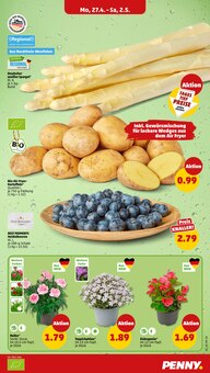 Spargel im Penny Prospekt "Wer günstig will, muss Penny." mit 42 Seiten (Wuppertal)