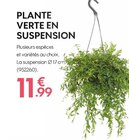Promo PLANTE VERTE EN SUSPENSION à 11,99 € dans le catalogue Truffaut à Saint-Fargeau-Ponthierry
