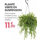 Truffaut Saint-Fargeau-Ponthierry - Promo PLANTE VERTE EN SUSPENSION Promo PLANTE VERTE EN SUSPENSION à 11,99 € dans le catalogue Truffaut à Saint-Fargeau-Ponthierry