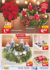 Ähnliche Angebote wie Obstbaum im Prospekt "Aktuelle Angebote" auf Seite 20 von Netto Marken-Discount in Rostock