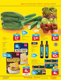 Grünpflanzen Angebot & Preis im aktuellen Netto Marken-Discount Prospekt Grünpflanzen Angebot im aktuellen Netto Marken-Discount Prospekt auf Seite 53