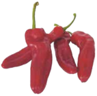 Spitzpaprika Angebot im Marktkauf Prospekt Spitzpaprika im Marktkauf Prospekt zum Preis von 1,99 €