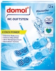 Steine im Rossmann Prospekt WC-Duftstein 4-fach-Power von Domol im aktuellen Rossmann Prospekt für 0,99 €