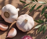 Knoblauch von Go Bio für 0,99 € bei Netto mit dem Scottie im Angebot Knoblauch von Go Bio im aktuellen Netto mit dem Scottie Prospekt