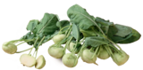 Kohlrabi im tegut Prospekt Kohlrabi von im aktuellen tegut Prospekt für 0,49 €
