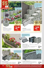 Aktueller Hellweg Prospekt mit Pflanzen, "Traumterrasse in jedem Fall", Seite 6