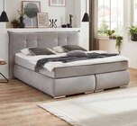 Boxspringbett bei Opti-Wohnwelt im Würzburg Prospekt für 899,00 €