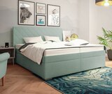 Polsterbett im aktuellen Sconto SB Prospekt