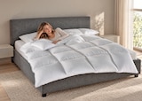 Aktuelle Bettdecke Angebote bei Wreesmann in Dresden Aktuelles Daunenbettdecke Dream Deluxe Angebot bei Wreesmann in Dresden ab 19,99 €