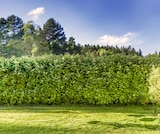 Gartenpavillon im Angebot bei Thomas Philipps in Bamberg Gartenpavillon Angebote von Mountains bei Thomas Philipps Bamberg für 39,99 €