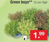 Green boys Angebote bei Zimmermann Gronau für 1,99 €
