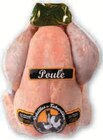 Poule au sol - VOLAILLES DE TABARDIERE dans le catalogue U Express