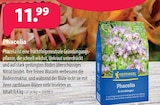 Phacelia Angebote von KIEPENKERL bei Kiebitzmarkt Wesel für 11,99 €