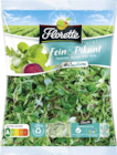 EDEKA Schöllkrippen - Fein & Pikant Angebot im Prospekt Fein & Pikant bei EDEKA im Schöllkrippen Prospekt für 1,99 €