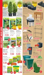 Schubkarre Angebot & Preis im aktuellen Jawoll Prospekt Schubkarre Angebot im aktuellen Jawoll Prospekt auf Seite 10