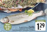 Aktuelle Forelle Angebote bei E center in Leverkusen Aktuelles Forelle Angebot bei E center in Leverkusen ab 1,29 €