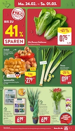 Aktueller ALDI Nord Prospekt mit Stauden, "Aktuelle Angebote", Seite 3