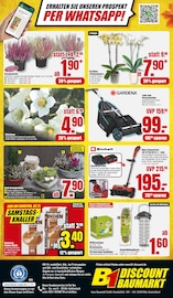 Aktueller B1 Discount Baumarkt Prospekt mit Stauden, "BESTPREISE DER WOCHE!", Seite 8