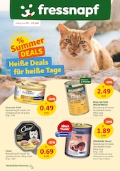 Aktueller Fressnapf Zoohandlung Prospekt in Jever und Umgebung, "Heiße Deals für heiße Tage" mit 13 Seiten, 17.07.2025 - 23.07.2025