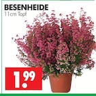 Wreesmann Dessau-Roßlau - BESENHEIDE Angebot im Prospekt BESENHEIDE bei Wreesmann im Dessau-Roßlau Prospekt für 1,99 €