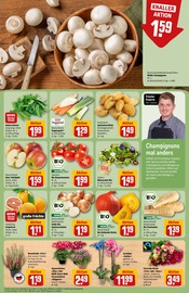 Ähnliche Tomatenpflanze Angebote im Prospekt "Dein Markt" von REWE in Düsseldorf Ähnliche Angebote wie Tomatenpflanze im Prospekt "Dein Markt" auf Seite 11 von REWE in Düsseldorf