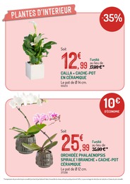 Prix et réduction Orchidée dans le prospectus Botanic en cours Offre Orchidée dans le catalogue Botanic du moment à la page 4