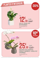 Orchidée Angebote im Prospekt "LES OFFRES DU MOMENT À NE PAS MANQUER" von Botanic Orchidée Angebote im Prospekt "LES OFFRES DU MOMENT À NE PAS MANQUER" von Botanic auf Seite 4