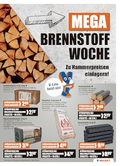 Briketts im V-Markt Prospekt in Augsburg Aktueller V-Markt Prospekt mit Briketts, "V-Markt einfach besser einkaufen", Seite 19