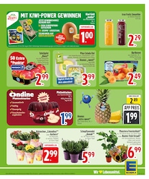 Äpfel im EDEKA Prospekt Äpfel im EDEKA Prospekt Wir lieben Lebensmittel. auf S. 5