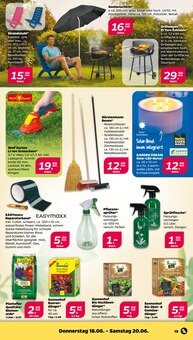 Netto mit dem Scottie Prospekt der aktuellen Woche, gĂŒltig von 15.06.2026 bis 20.06.2026 Aktueller Netto mit dem Scottie Prospekt "GĂŒnstig. Besser. FĂŒr Dich." mit 33 Seiten