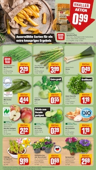 Äpfel im aktuellen REWE Prospekt (Fürth) Äpfel im REWE Prospekt "Dein Markt" mit 18 Seiten (Fürth)