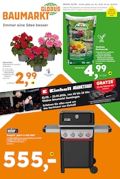 Globus-Baumarkt Prospekt für Bingen mit 17 Seiten Globus-Baumarkt Prospekt für Bingen: "Immer eine Idee besser", 17 Seiten, 17.05.2026 - 23.05.2026