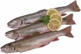 Aktuelle Lachs Angebote bei E center in Münster Aktuelles Lachsfilet, Zitronengras Angebot bei E center in Münster ab 1,69 €
