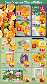 Aktueller REWE Prospekt mit Gemüse, "Dein Markt", Seite 6