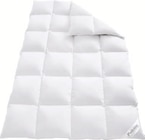 Premium Daunen-Kassettenbettdecke im Angebot bei Lidl in Bergkamen Premium Daunen-Kassettenbettdecke Angebote von Balette bei Lidl Bergkamen für 99,99 €