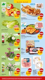 Aktueller Penny Prospekt mit Schinken, "Wer günstig will, muss Penny.", Seite 32