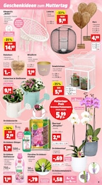 Orchideenerde Angebot im aktuellen Thomas Philipps Prospekt auf Seite 13