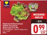 Ballensalat-Trio-Mix Angebote von EDEKA Herzstücke bei EDEKA Potsdam für 0,99 €