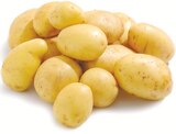 Speisefrühkartoffeln im aktuellen Netto mit dem Scottie Prospekt
