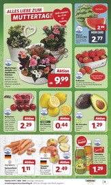 Erdbeeren im combi Prospekt in Lemgo Aktueller combi Prospekt mit Erdbeeren, "Markt - Angebote", Seite 3