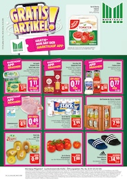 Marktkauf Prospekt "AUSWAHL RIESIG, PREISE NIEDRIG" für Schnaittach, 44 Seiten, 08.06.2026 - 13.06.2026 Marktkauf Prospekt "AUSWAHL RIESIG, PREISE NIEDRIG" für Schnaittach, 44 Seiten, 08.06.2026 - 13.06.2026