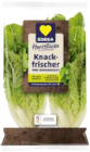 Mini Romana Salat im aktuellen Prospekt bei EDEKA in Ramstedt