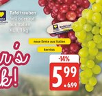 Tafeltrauben bei Marktkauf im Zierow Prospekt für 5,99 €