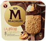 Magnum Angebote von Langnese bei Penny Halberstadt für 2,49 €