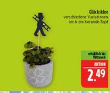 Glücksklee Angebote bei Marktkauf Görlitz für 2,49 €