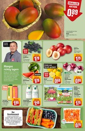Salat im REWE Prospekt in Ingolstadt Aktueller REWE Prospekt mit Salat, "Dein Markt", Seite 6