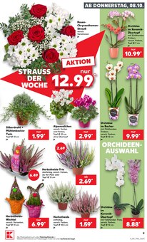 Blumen im Kaufland Prospekt "Hier bin ich richtig" mit 80 Seiten (Oberhausen)